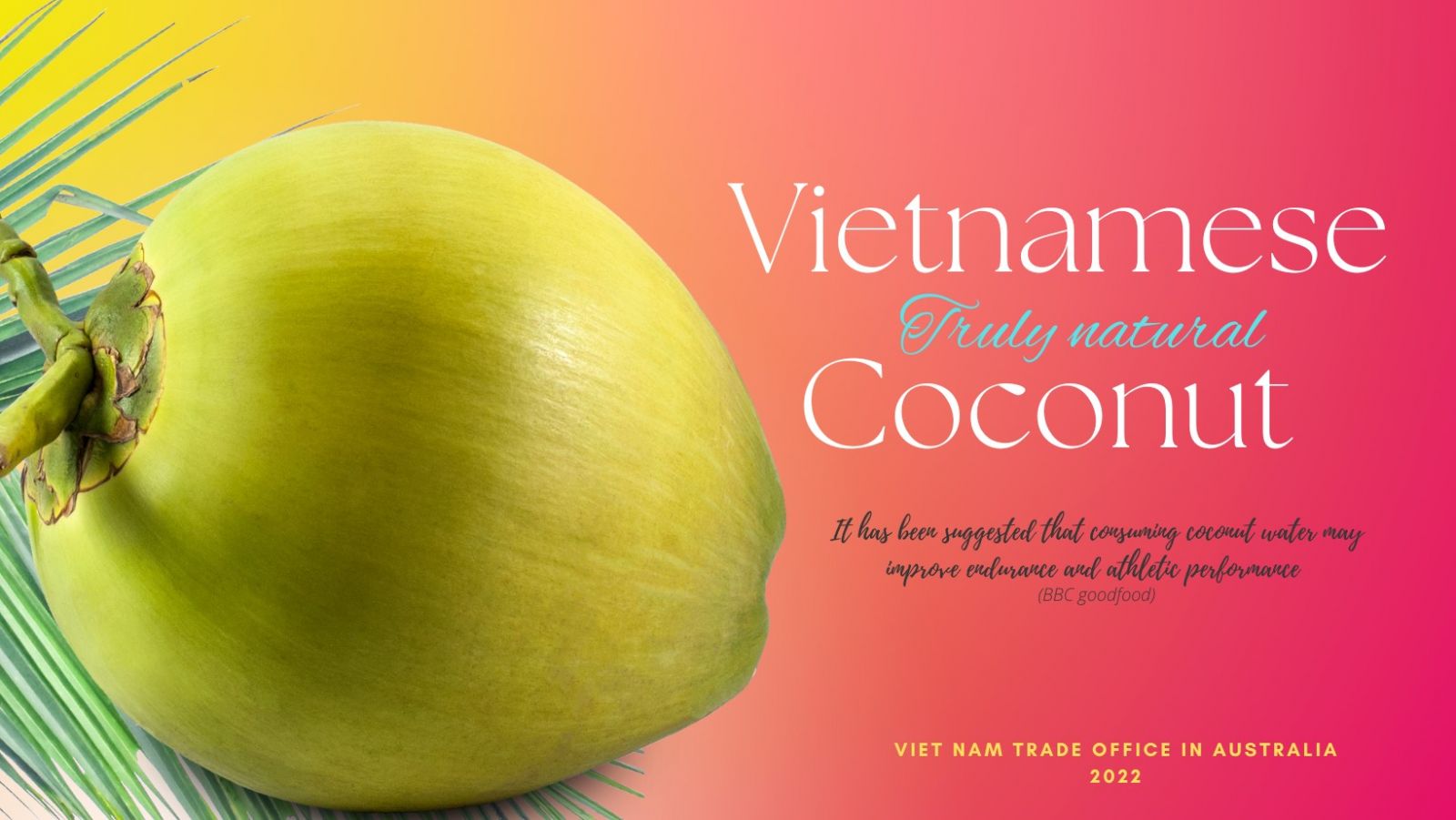 Nước dừa Việt Nam được đưa vào các siêu thị lớn nhất tại Australia - Ảnh 1.