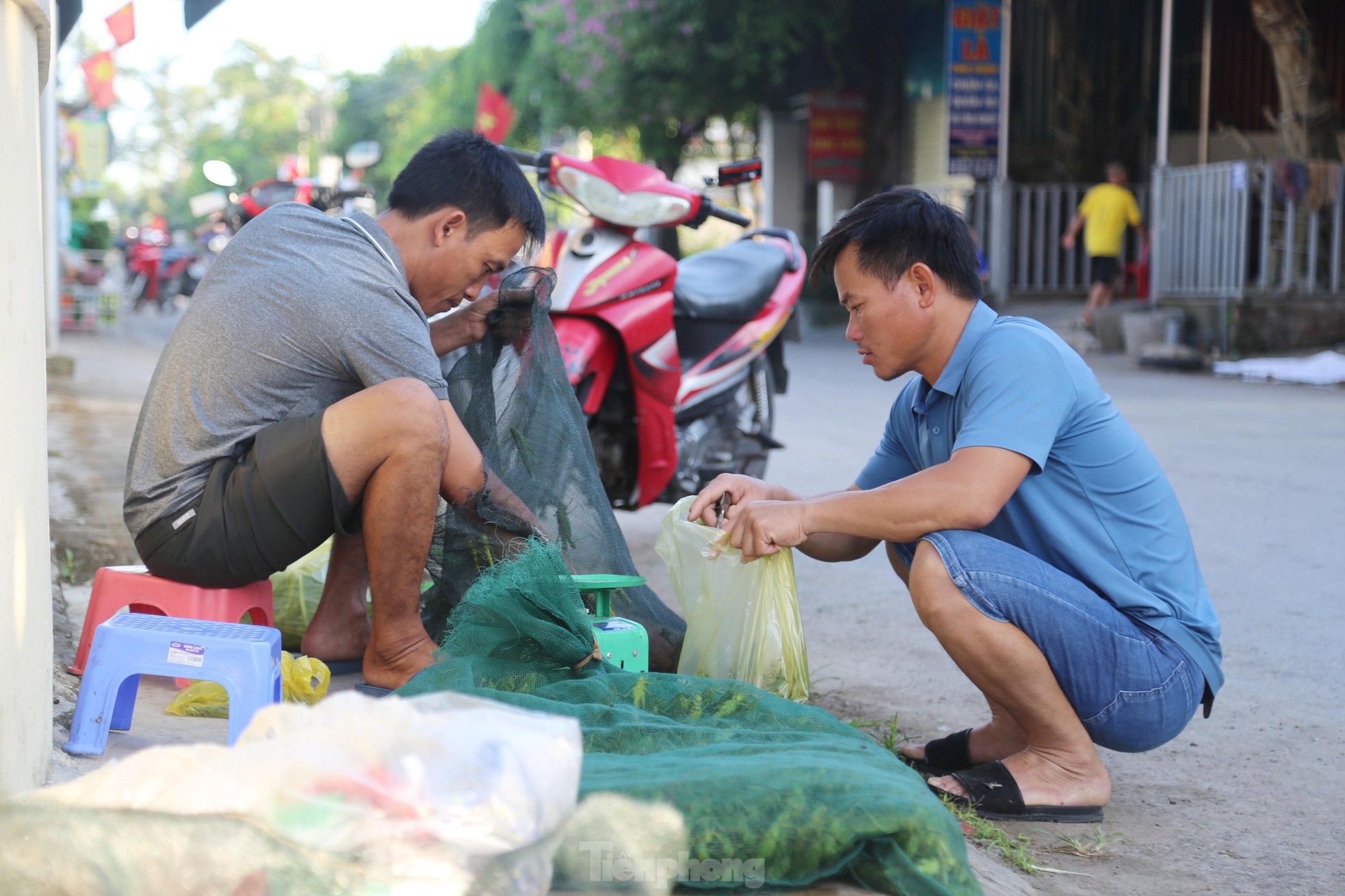 Phiên chợ bán ‘tôm bay’, giá nửa triệu mỗi kg vẫn cháy hàng - Ảnh 5.