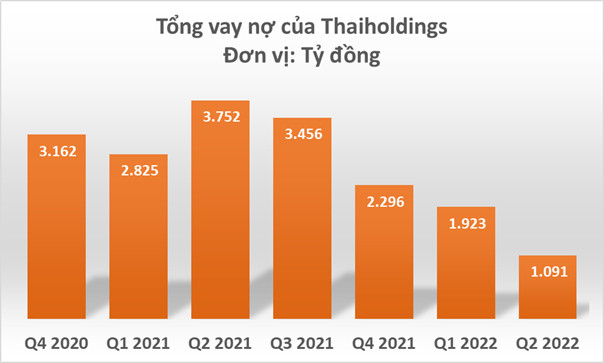Thaiholdings giảm mạnh lãi vay, báo lãi thuần hơn 350 tỷ đồng sau 6 tháng - Ảnh 1.