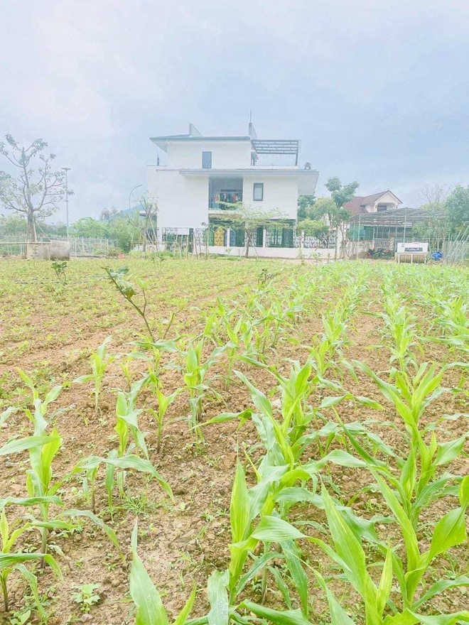 Hành trình 15 năm “cất 1 nửa lương', tích lũy về quê xây nhà để sống cùng mẹ - Ảnh 11. Hành trình 15 năm “cất 1 nửa lương', tích lũy về quê xây nhà để sống cùng mẹ - Ảnh 11.