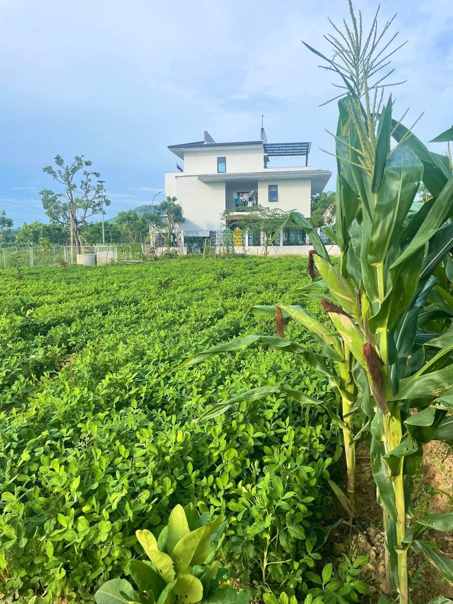Hành trình 15 năm “cất 1 nửa lương', tích lũy về quê xây nhà để sống cùng mẹ - Ảnh 12. Hành trình 15 năm “cất 1 nửa lương', tích lũy về quê xây nhà để sống cùng mẹ - Ảnh 12.