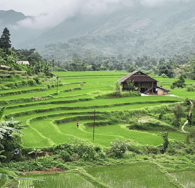 Những điểm đến lý tưởng của Việt Nam khiến du khách nước ngoài mê mẩn, năm lần bảy lượt đều muốn quay lại - Ảnh 3.