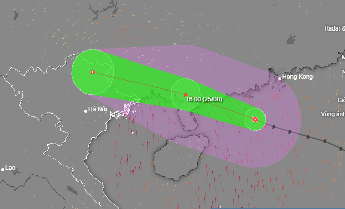 Chiều nay 25-8, bão số 3 cách Móng Cái 230km, Bắc Bộ mưa lớn, có nơi trên 250mm - Ảnh 1.