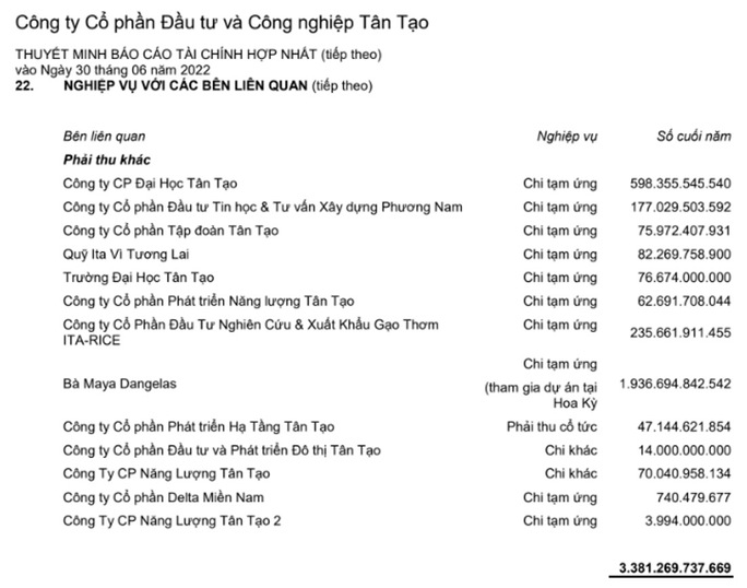 Công ty Tân Tạo của bà Đặng Thị Hoàng Yến công bố lại báo cáo tài chính - Ảnh 1. Công ty Tân Tạo của bà Đặng Thị Hoàng Yến công bố lại báo cáo tài chính - Ảnh 1.