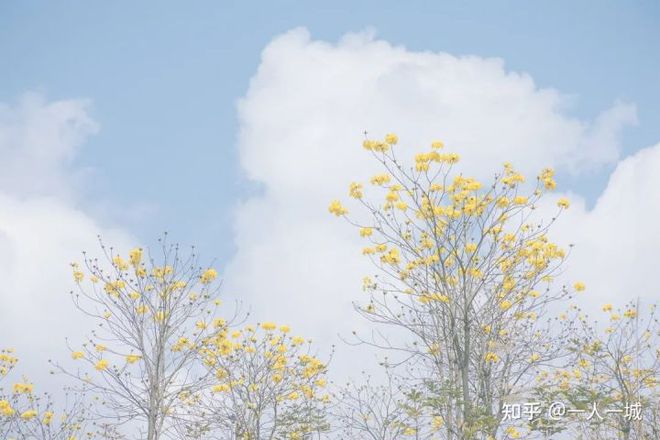 Chàng trai Gen Z chán phố thị về quê chụp ảnh 'Bà nội thời thượng' gây bão mạng xã hội, vứt bỏ sự nổi tiếng để sống đúng nghĩa - Ảnh 11. Chàng trai Gen Z chán phố thị về quê chụp ảnh 'Bà nội thời thượng' gây bão mạng xã hội, vứt bỏ sự nổi tiếng để sống đúng nghĩa - Ảnh 11.