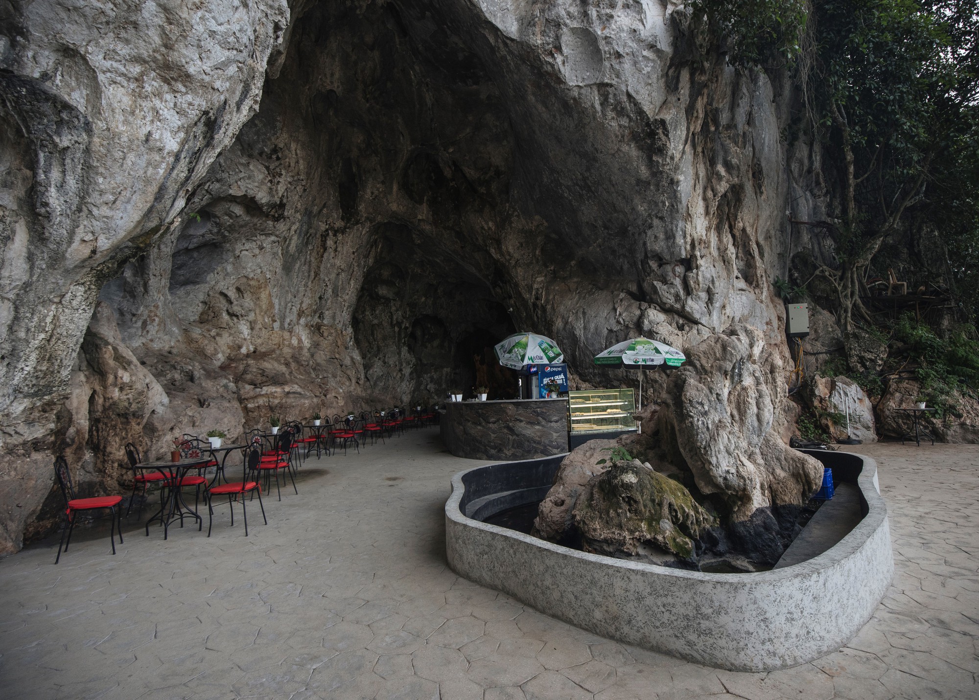 Mãn nhãn với cây cầu kính đi bộ dài nhất thế giới hùng vĩ giữa núi rừng Việt Nam - Ảnh 6.