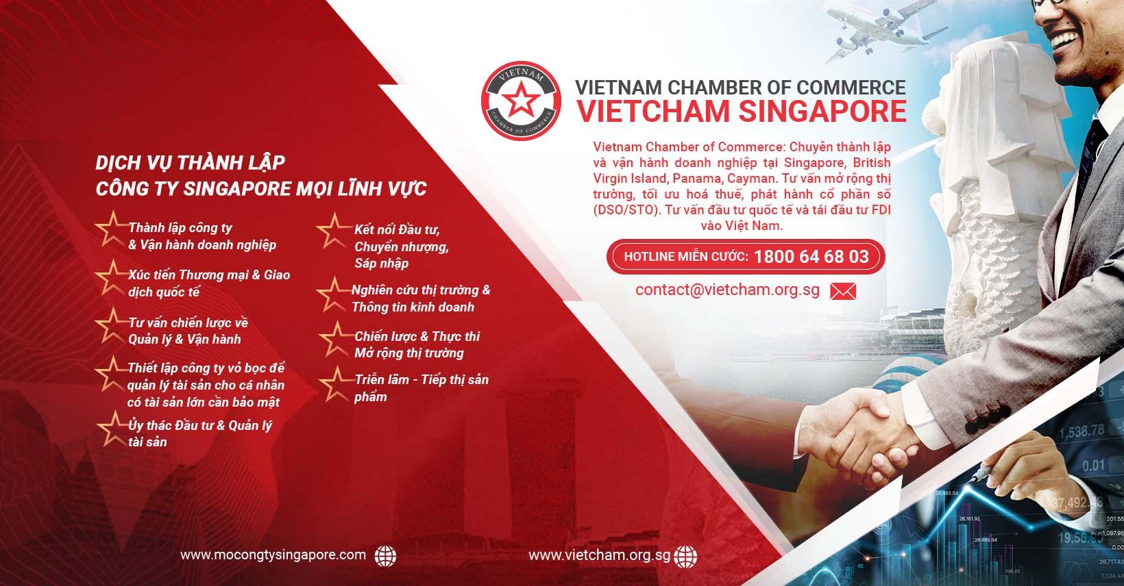 Sử dụng Singapore làm bàn đạp cho doanh nhân Việt tiến ra biển lớn - Ảnh 2.