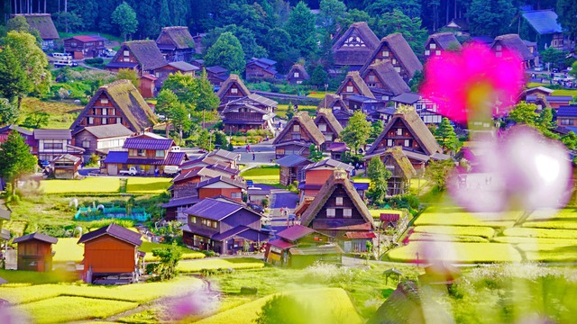 Ghé thăm ngôi làng cổ tích đẹp như trong mơ của Nhật Bản, quê hương của mèo máy Doraemon - Ảnh 10.