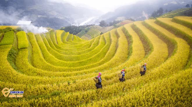 Tây Bắc mùa này có gì mà nhiều người đi đến thế: Tất cả đều mang vẻ đẹp chung của một thứ - Ảnh 5.