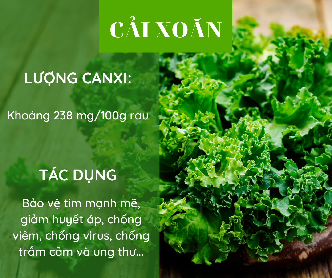 Các loại rau giàu canxi hơn sữa, bổ sung hàng ngày để phòng ngừa loãng xương - Ảnh 1. Các loại rau giàu canxi hơn sữa, bổ sung hàng ngày để phòng ngừa loãng xương - Ảnh 1.