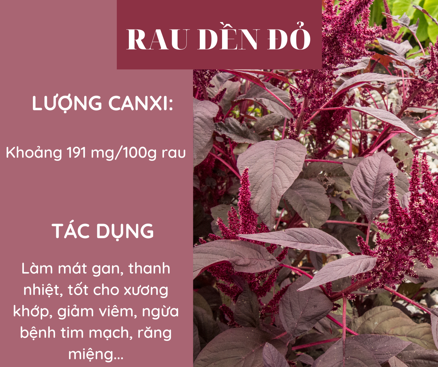 Các loại rau giàu canxi hơn sữa, bổ sung hàng ngày để phòng ngừa loãng xương - Ảnh 2.