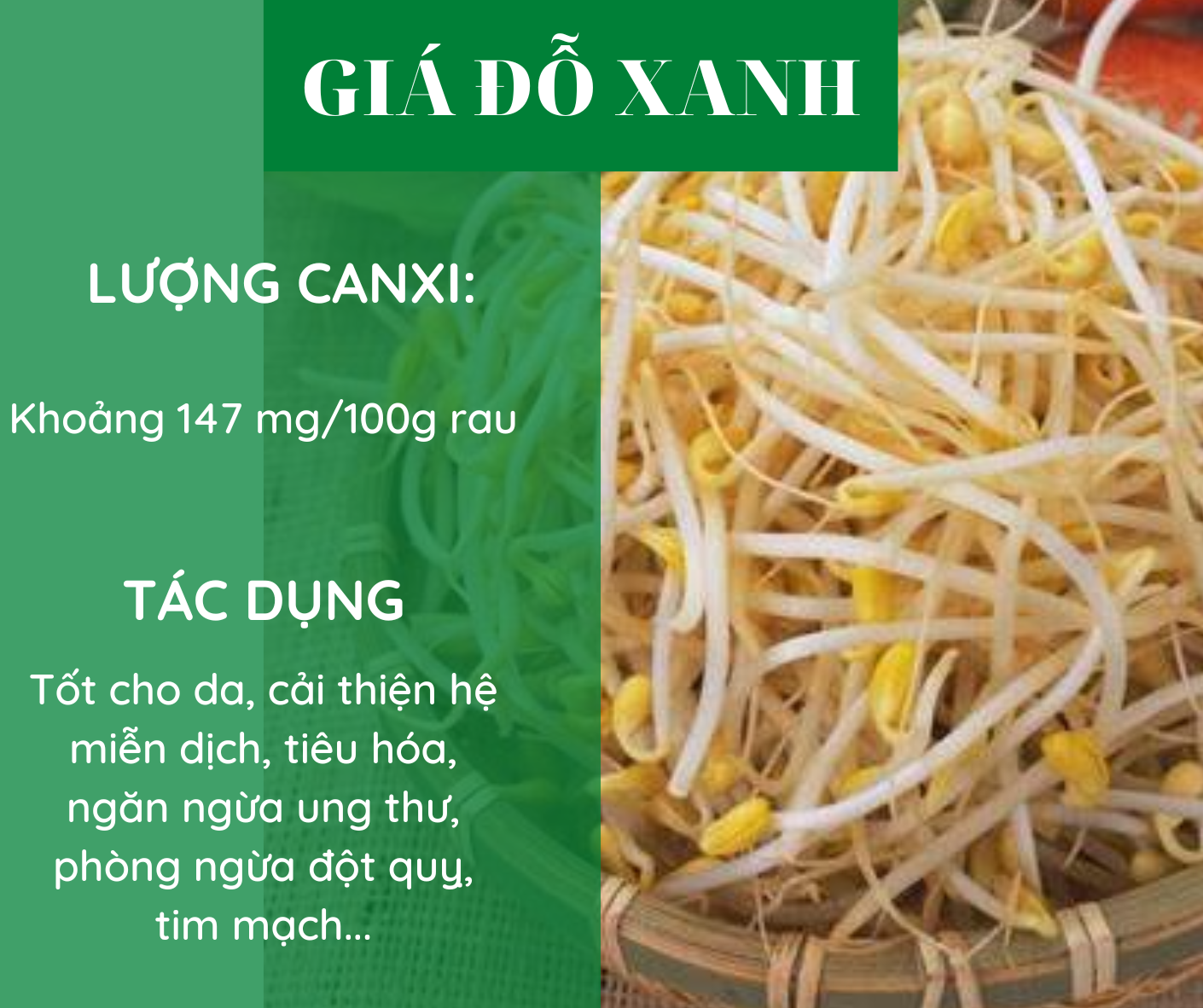 Các loại rau giàu canxi hơn sữa, bổ sung hàng ngày để phòng ngừa loãng xương - Ảnh 3. Các loại rau giàu canxi hơn sữa, bổ sung hàng ngày để phòng ngừa loãng xương - Ảnh 3.