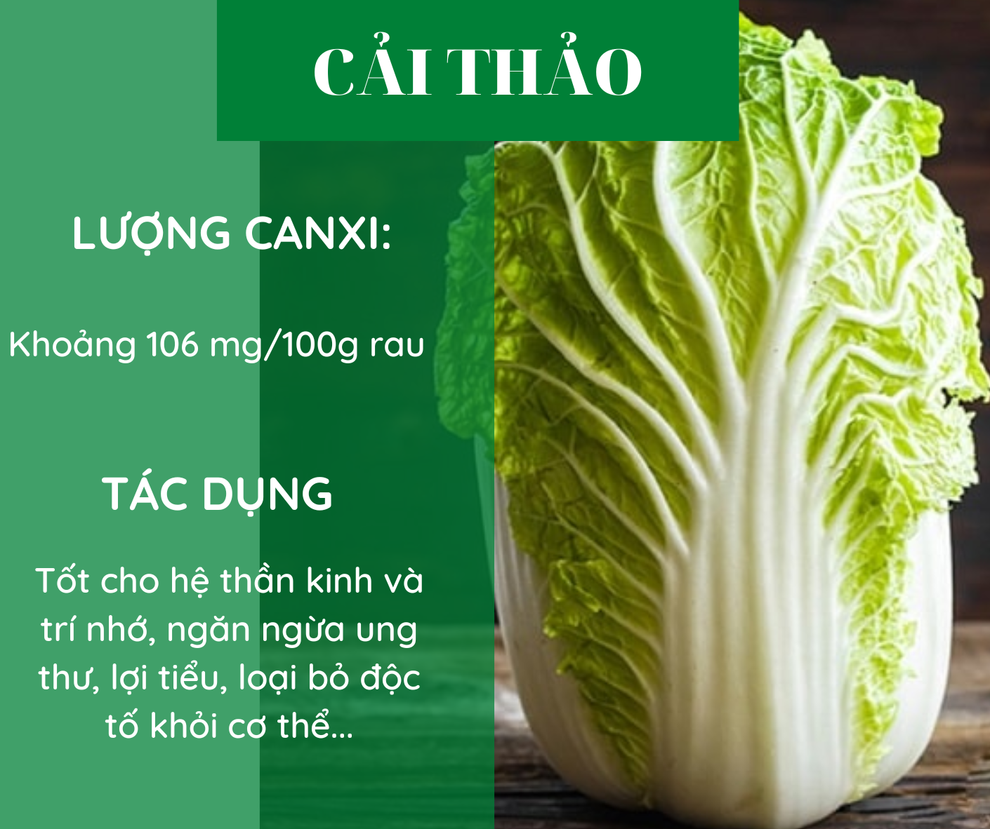 Các loại rau giàu canxi hơn sữa, bổ sung hàng ngày để phòng ngừa loãng xương - Ảnh 4. Các loại rau giàu canxi hơn sữa, bổ sung hàng ngày để phòng ngừa loãng xương - Ảnh 4.