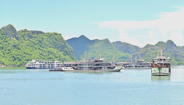 Đi giữa lòng di sản cùng chuyến phà biển đặc biệt nhất Việt Nam - Ảnh 7. Đi giữa lòng di sản cùng chuyến phà biển đặc biệt nhất Việt Nam - Ảnh 7.