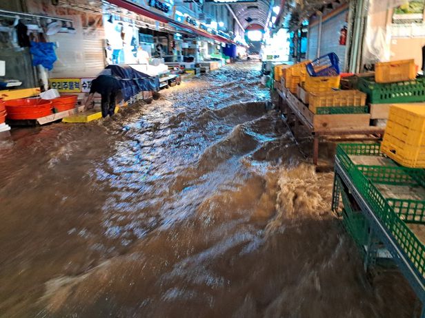Chùm ảnh: Seoul xung quanh toàn là nước trong trận mưa lớn nhất 80 năm qua, hàng loạt người phải rời bỏ nhà cửa - Ảnh 10.