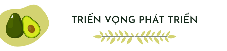 Độc đáo quả bơ 'xanh' thay thế bơ thật: Phần thịt làm từ đậu, vỏ dùng xong có thể dùng làm nến - Ảnh 5.