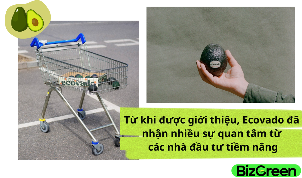 Độc đáo quả bơ 'xanh' thay thế bơ thật: Phần thịt làm từ đậu, vỏ dùng xong có thể dùng làm nến - Ảnh 4.