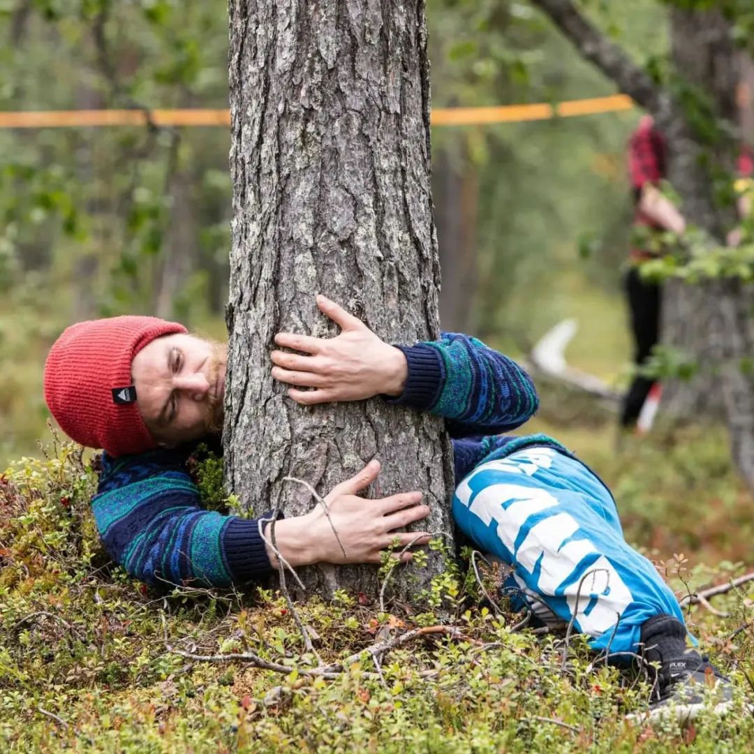 &quot;Cuộc thi ôm cây&quot; kỳ lạ ở Phần Lan - nơi con người được chữa lành bằng những cái ôm thiên nhiên vào lòng - Ảnh 1.