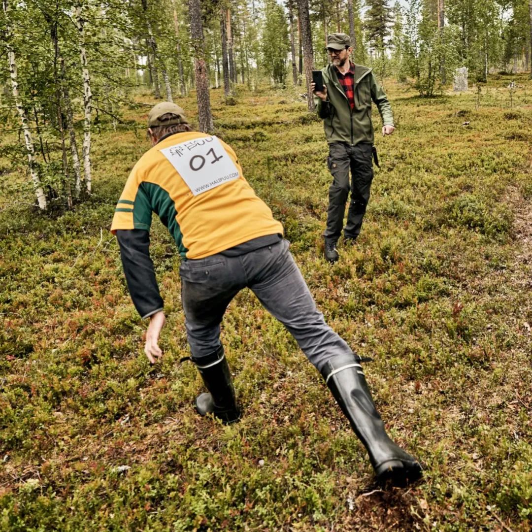 &quot;Cuộc thi ôm cây&quot; kỳ lạ ở Phần Lan - nơi con người được chữa lành bằng những cái ôm thiên nhiên vào lòng - Ảnh 6.
