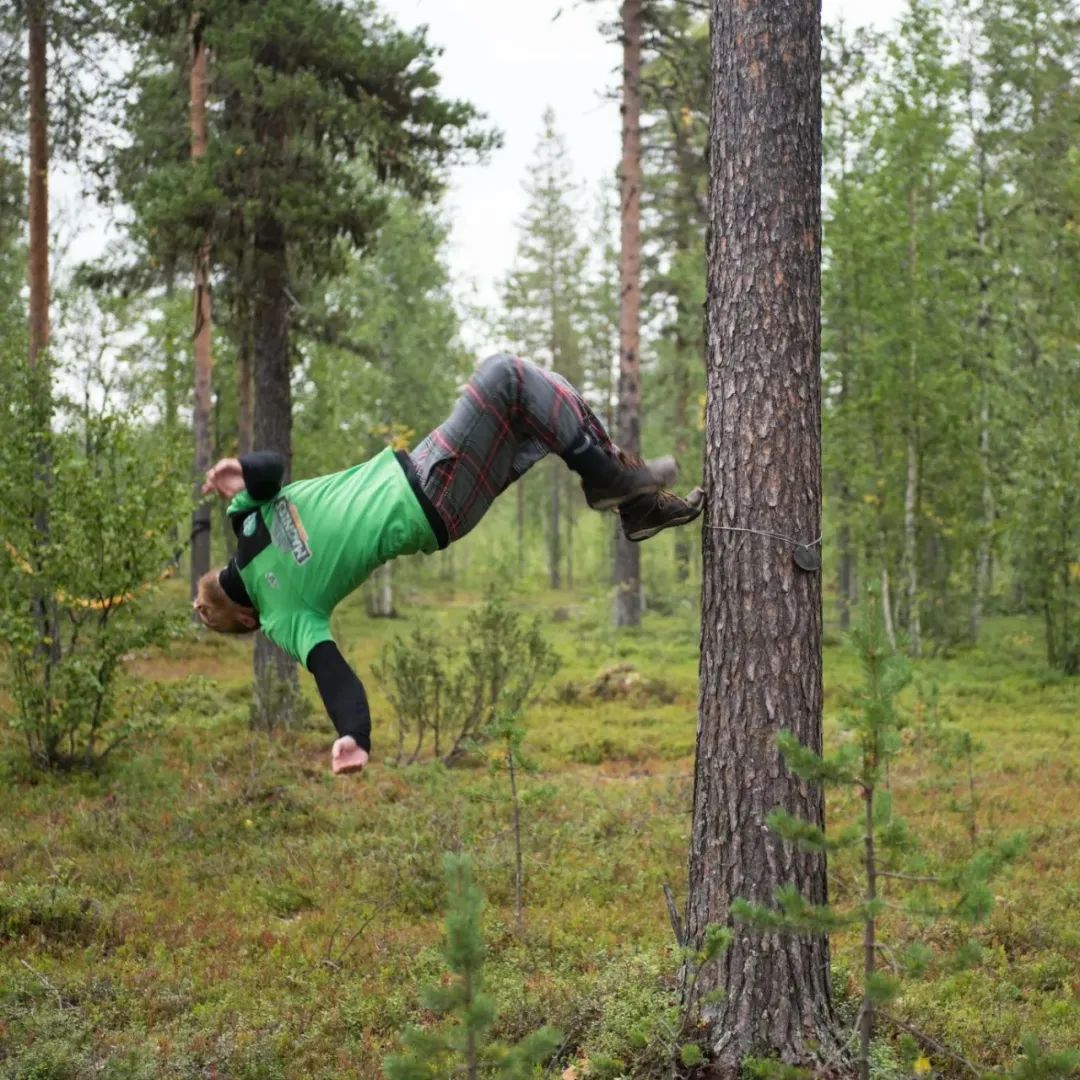 &quot;Cuộc thi ôm cây&quot; kỳ lạ ở Phần Lan - nơi con người được chữa lành bằng những cái ôm thiên nhiên vào lòng - Ảnh 9.
