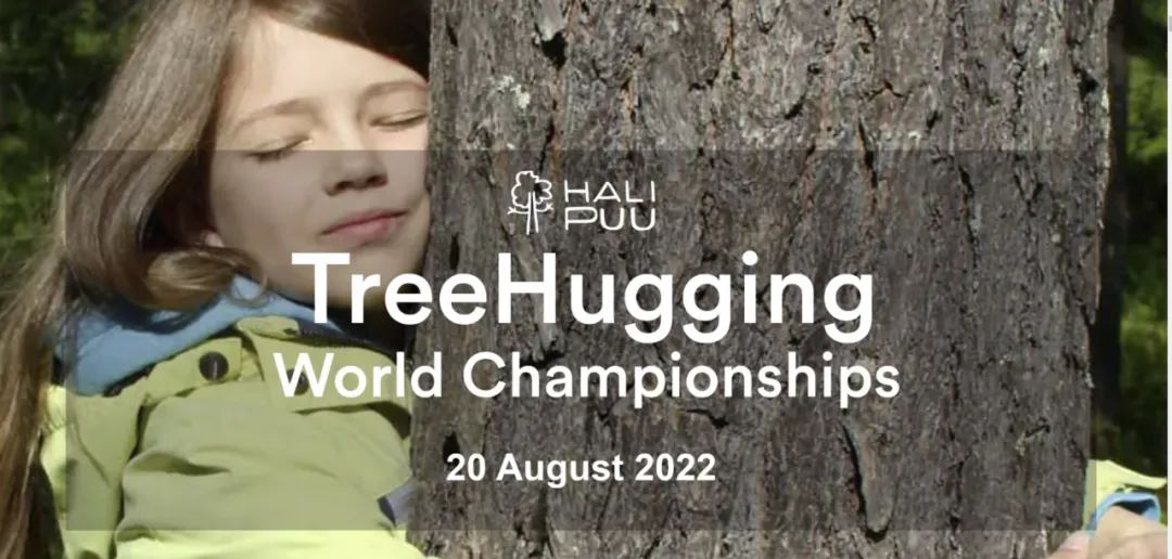 &quot;Cuộc thi ôm cây&quot; kỳ lạ ở Phần Lan - nơi con người được chữa lành bằng những cái ôm thiên nhiên vào lòng - Ảnh 23.