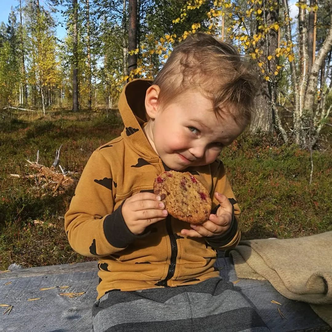 &quot;Cuộc thi ôm cây&quot; kỳ lạ ở Phần Lan - nơi con người được chữa lành bằng những cái ôm thiên nhiên vào lòng - Ảnh 27.