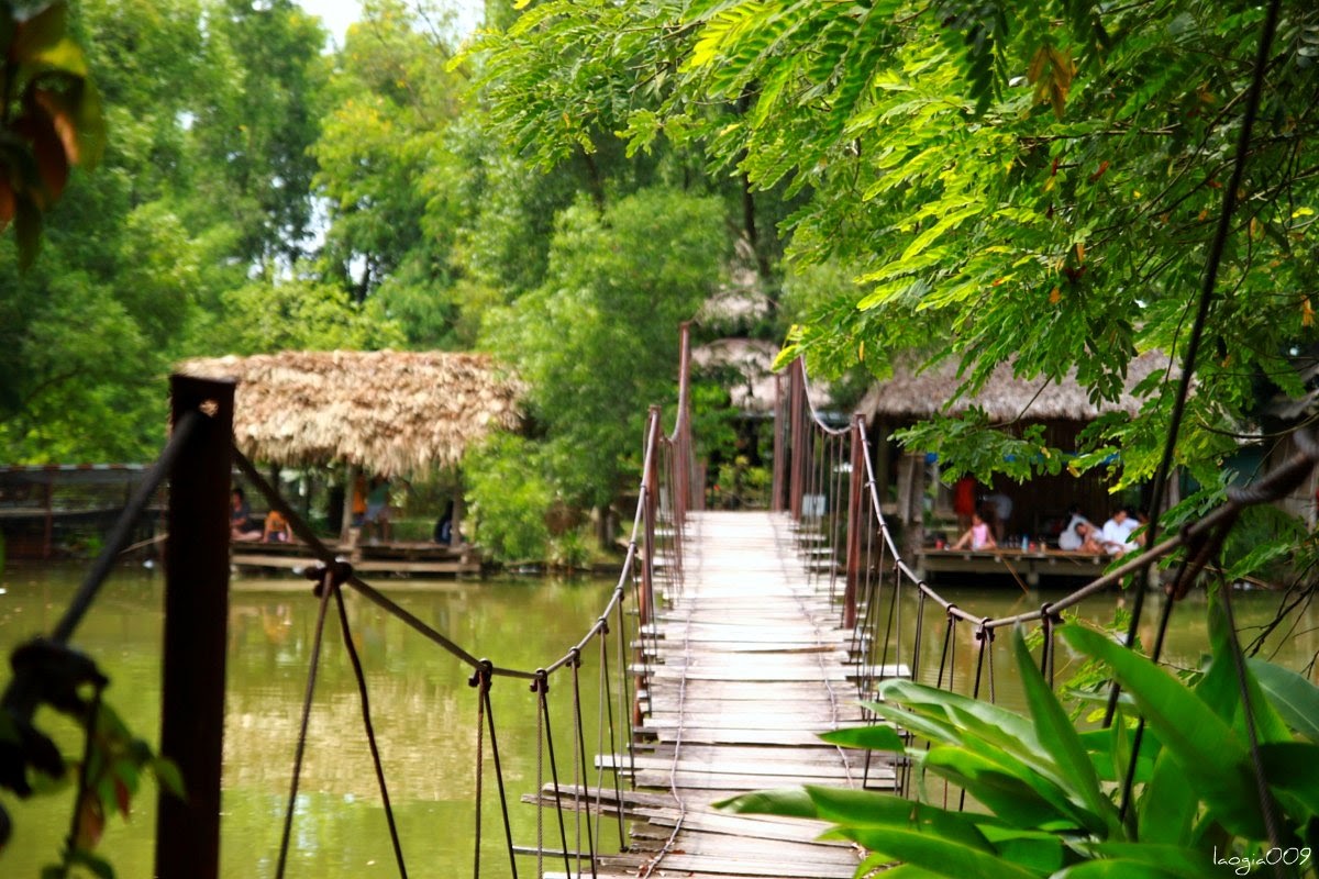 Những địa điểm câu cá giải trí ở Hà Nội giúp xua tan mọi buồn phiền - Ảnh 4.