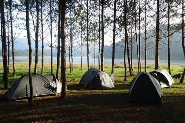 6 địa điểm cắm trại đẹp nhất ở Đà Lạt: Nơi số 3 còn được mệnh danh là 'Thánh địa săn mây' - Ảnh 2.
