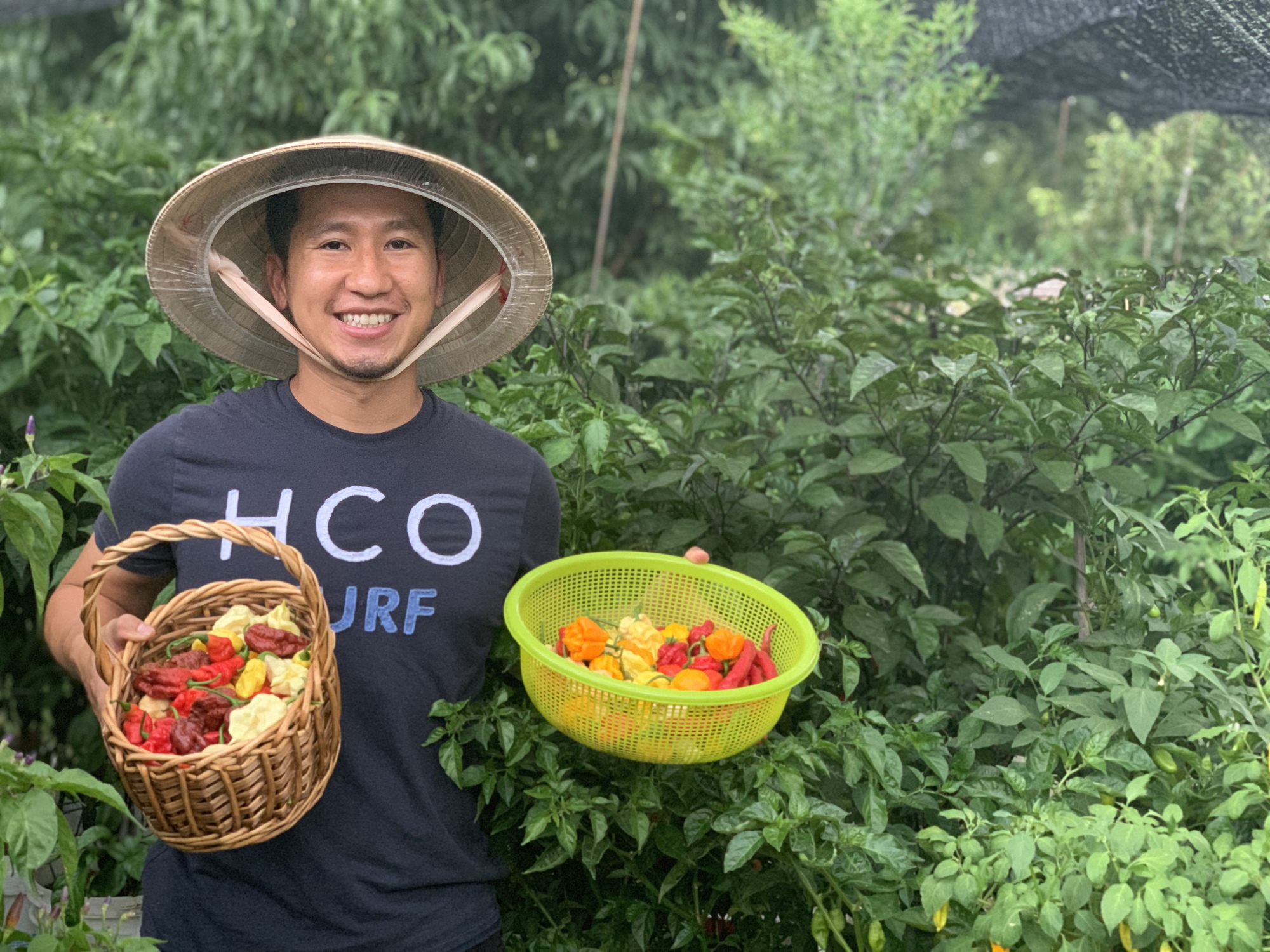 Người Việt tự lai tạo 2.000 giống ớt trên mảnh vườn ở Mỹ - Ảnh 1.