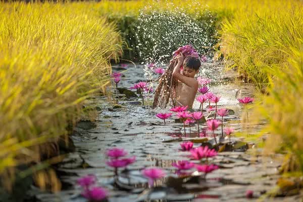 Về An Giang mùa nước nổi, lênh đênh giữa rừng Tràm Trà Sư ăn lẩu cá linh 'độc nhất vô nhị’ - Ảnh 1.