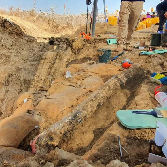 Các nhà khảo cổ học Israel tìm thấy ngà của một loài voi khổng lồ 500.000 năm tuổi - Ảnh 1.