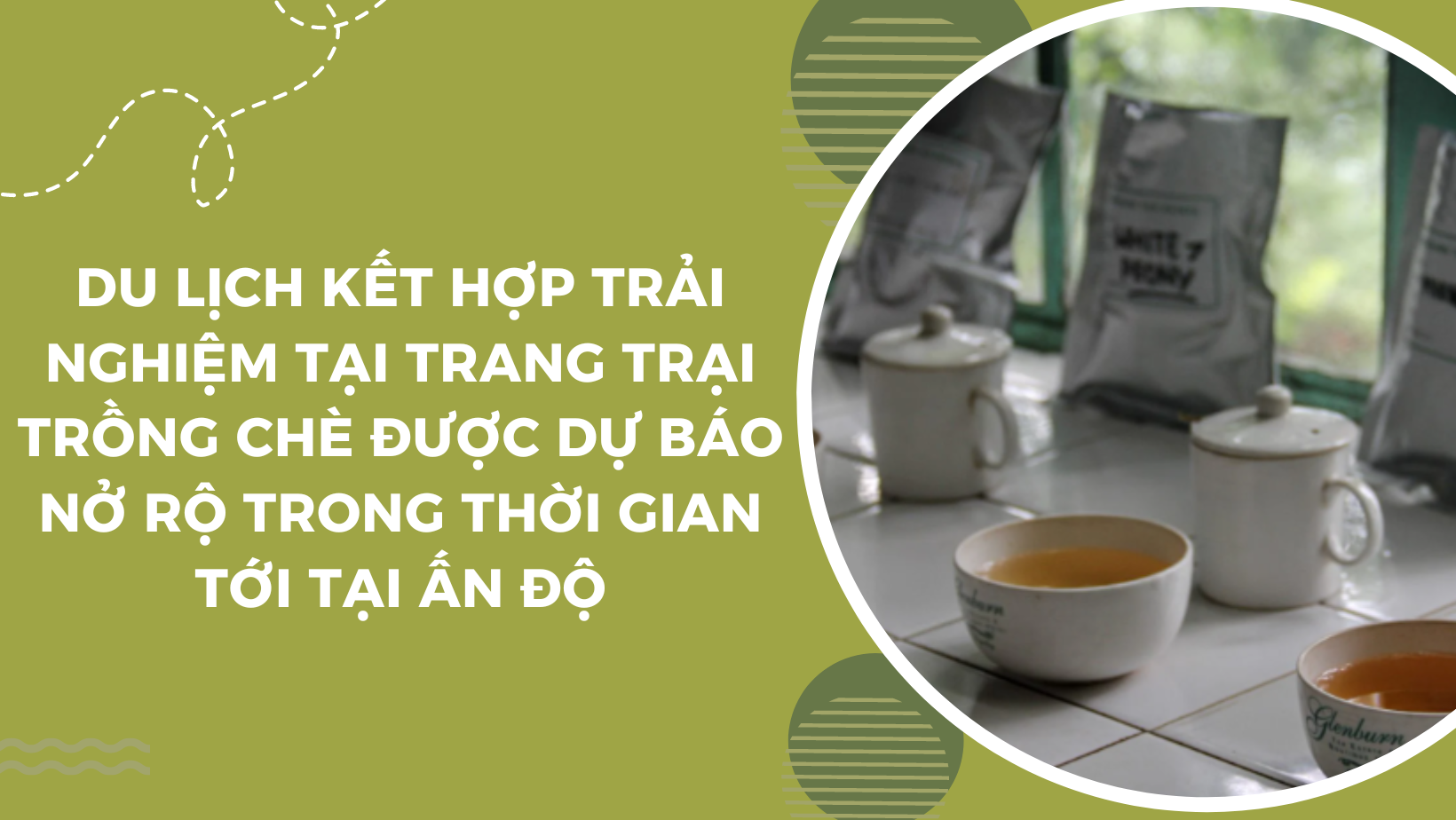 Ấn tượng tour du lịch trải nghiệm tại trang trại trồng chè ở Ấn Độ   - Ảnh 6.