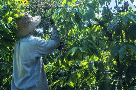 Khách Tây đúc kết cẩm nang uống cà phê chuẩn Việt: Cốc nước đẹp tới chảy nước miếng! - Ảnh 1.