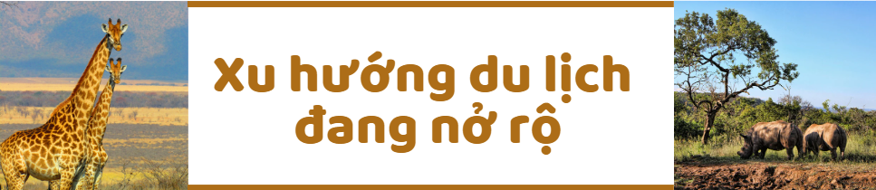 Cách Tanzania làm du lịch safari: Tạo thêm nhiều trải nghiệm độc đáo để thu hút du khách   - Ảnh 1.