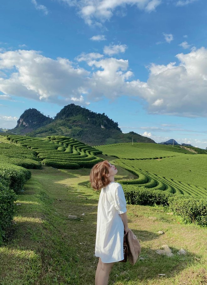 Những đồi chè xanh ngát có cảnh đẹp như phim ở khắp Việt Nam - Ảnh 20.