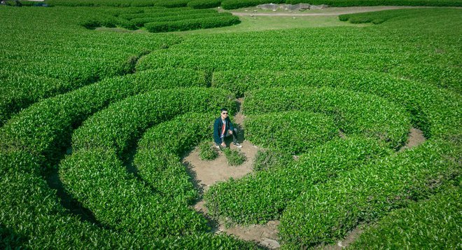 Những đồi chè xanh ngát có cảnh đẹp như phim ở khắp Việt Nam - Ảnh 19.