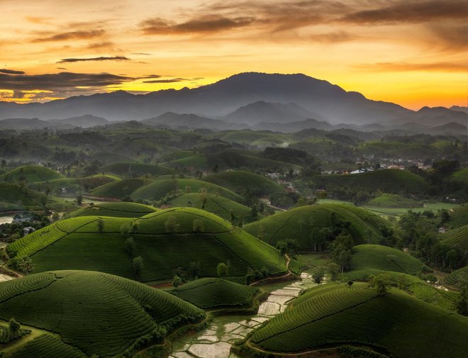 Những đồi chè xanh ngát có cảnh đẹp như phim ở khắp Việt Nam - Ảnh 13.