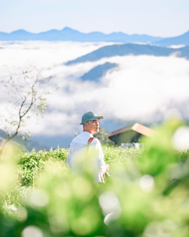 Những đồi chè xanh ngát có cảnh đẹp như phim ở khắp Việt Nam - Ảnh 6.