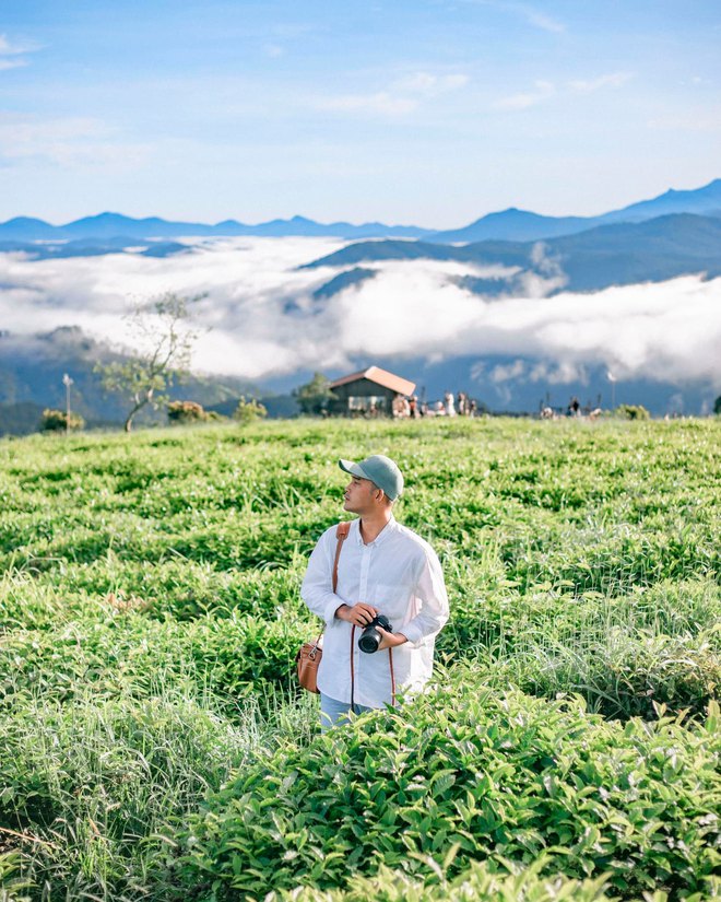 Những đồi chè xanh ngát có cảnh đẹp như phim ở khắp Việt Nam - Ảnh 1.