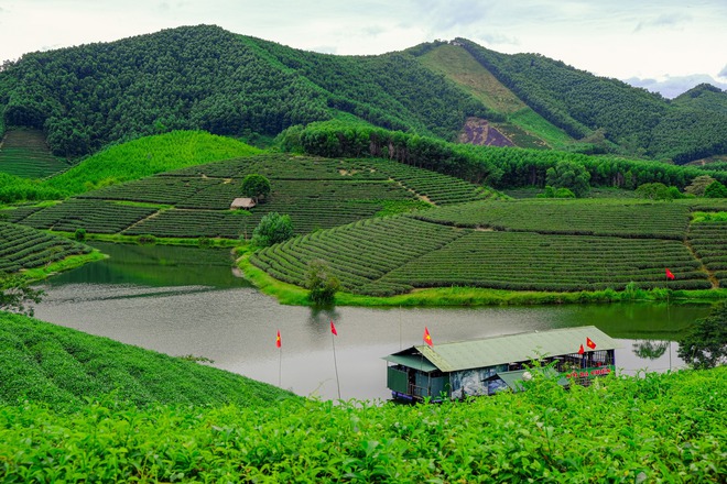 Những đồi chè xanh ngát có cảnh đẹp như phim ở khắp Việt Nam - Ảnh 27.