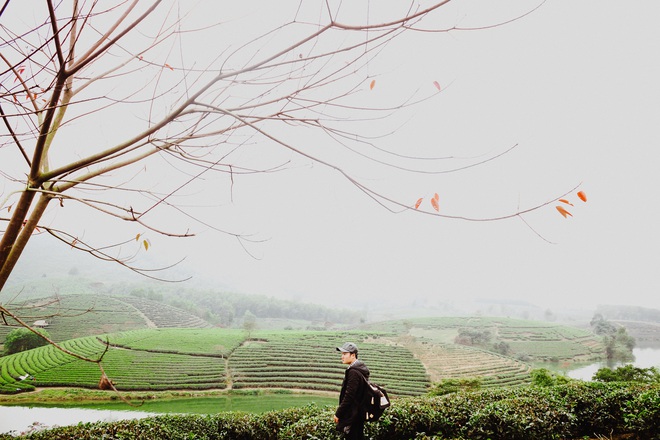 Những đồi chè xanh ngát có cảnh đẹp như phim ở khắp Việt Nam - Ảnh 25.