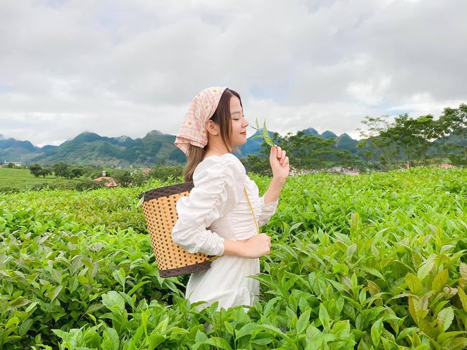 Những đồi chè xanh ngát có cảnh đẹp như phim ở khắp Việt Nam - Ảnh 22.