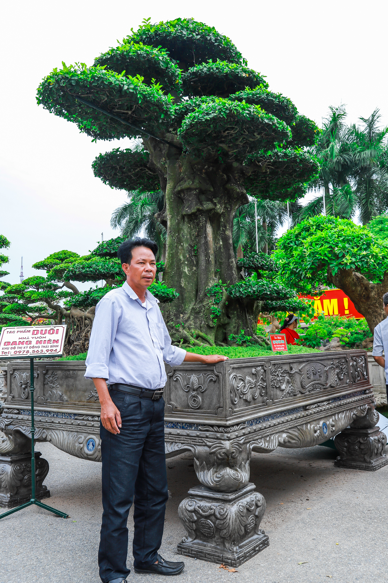 Những siêu cây cảnh hàng chục tỷ 'hội ngộ' tại Bắc Ninh - Ảnh 7.