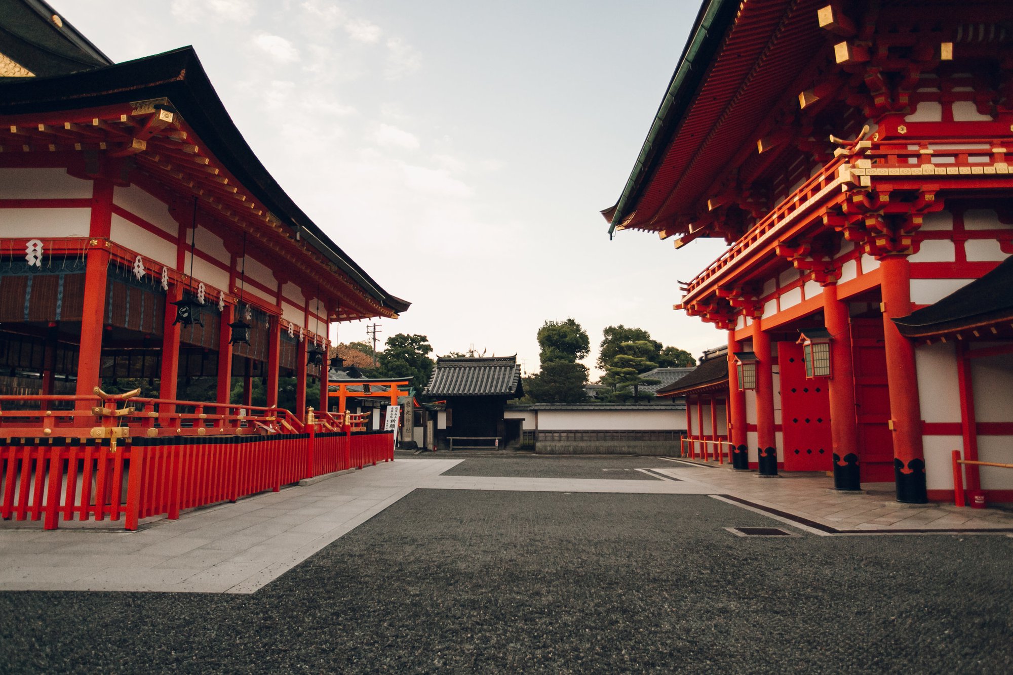 Kyoto rất mong đón du khách trở lại, nhưng 'thủ thỉ' những yêu cầu đặc biệt - Ảnh 9.