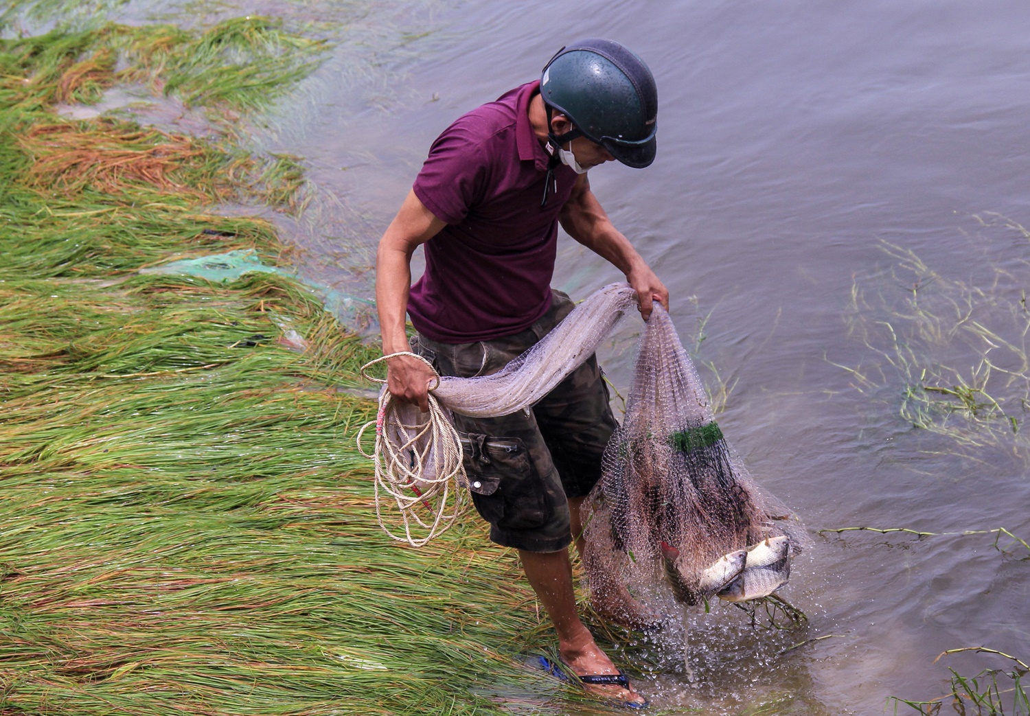 Nghề độc chỉ có sau bão ở Đà Nẵng: Ra biển săn cá nước ngọt khủng - Ảnh 8.