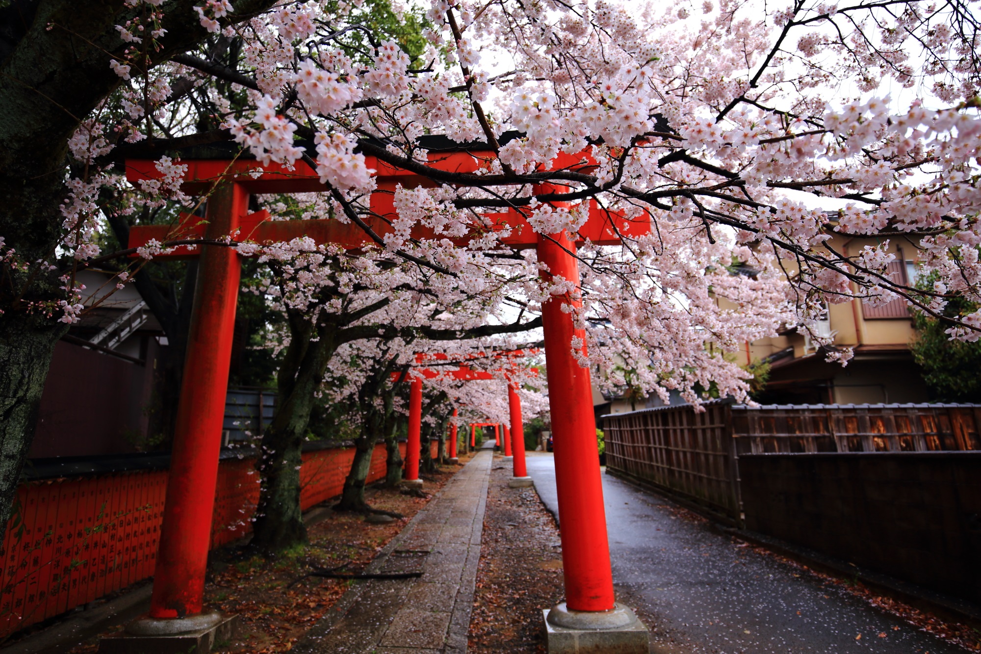 Kyoto rất mong đón du khách trở lại, nhưng 'thủ thỉ' những yêu cầu đặc biệt - Ảnh 2.