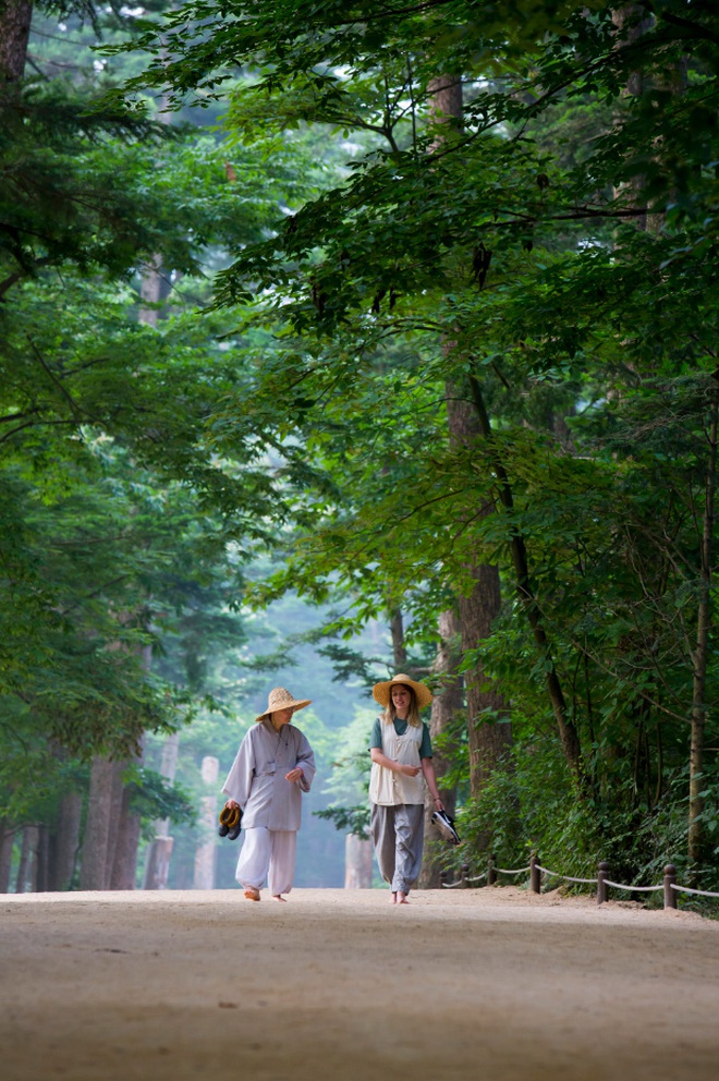 Đưa du khách vào chùa tu: Mô hình du lịch 'gây sốt' ở Hàn Quốc - Ảnh 6.