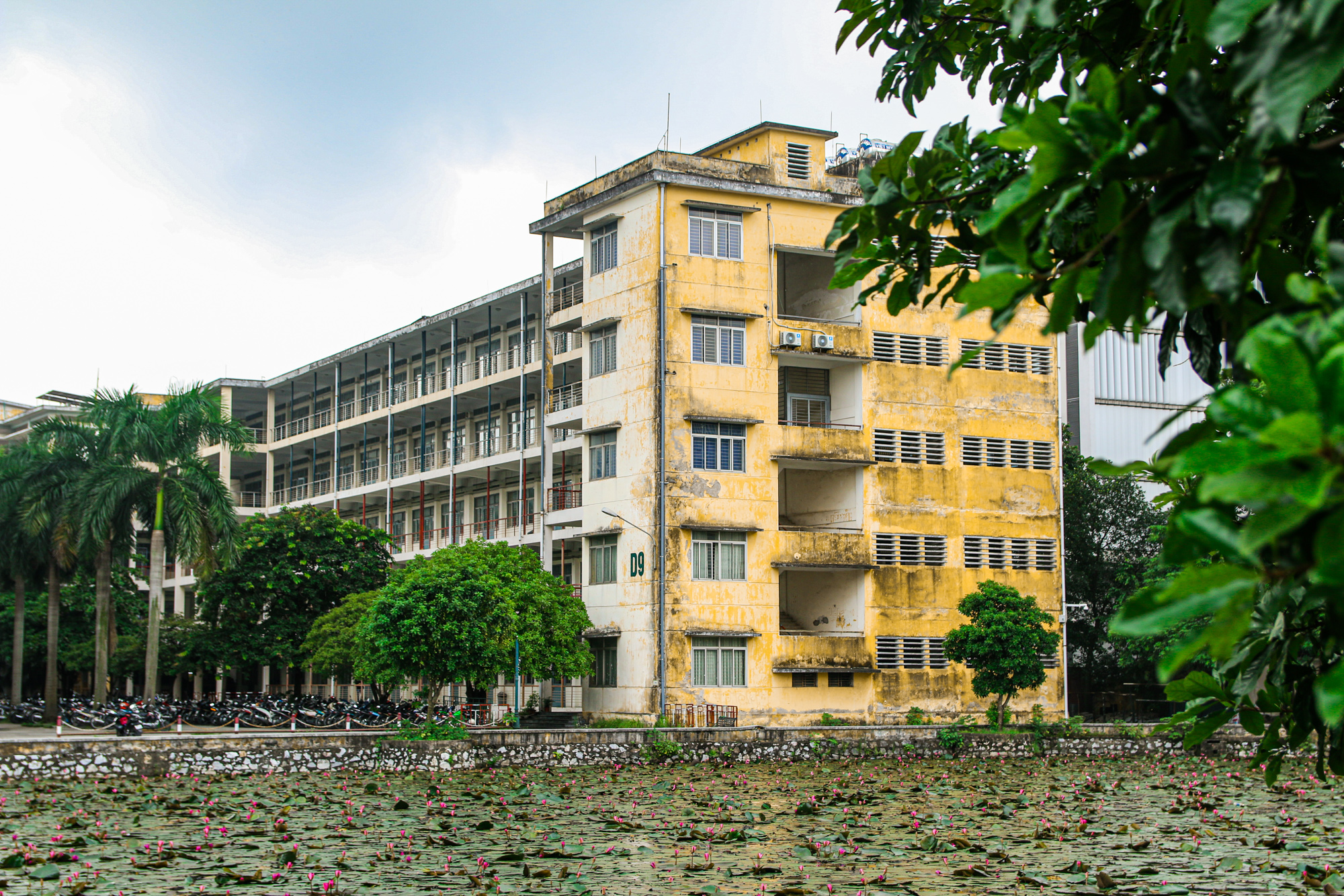 Trường đại học rộng nhất trung tâm Hà Nội, sinh viên phải tra bản đồ để tìm đường - Ảnh 6.