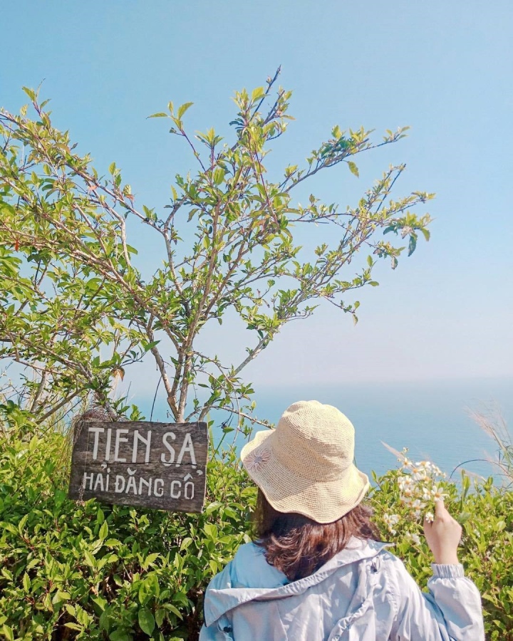 Khung cảnh tựa vườn cổ tích ở ngọn hải đăng trăm tuổi nằm trên bán đảo Sơn Trà - Ảnh 3.