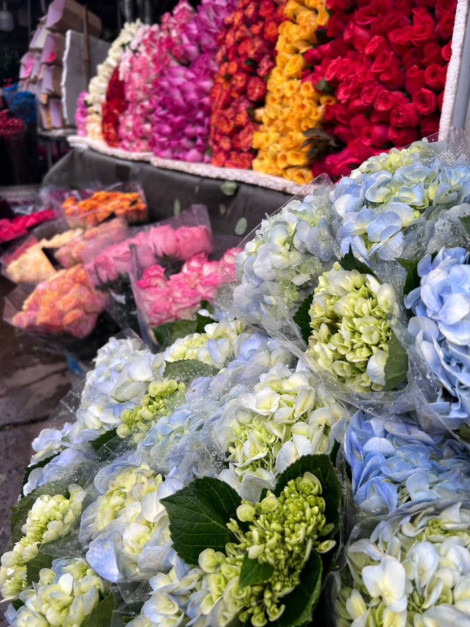 Mách bạn bí kíp mua hoa chợ Quảng Bá giá rẻ mà vẫn đẹp - Ảnh 3.